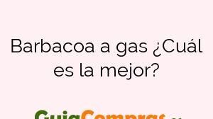 Barbacoa a gas ¿Cuál es la mejor?