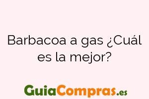 Barbacoa a gas ¿Cuál es la mejor?