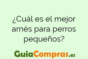 ¿Cuál es el mejor arnés para perros pequeños?