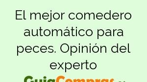 El mejor comedero automático para peces. Opinión del experto