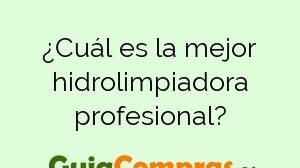 ¿Cuál es la mejor hidrolimpiadora profesional?