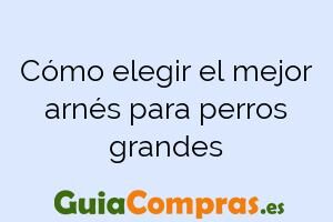 Cómo elegir el mejor arnés para perros grandes
