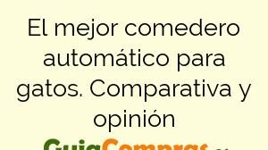El mejor comedero automático para gatos. Comparativa y opinión