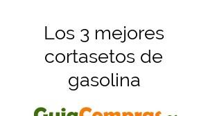 Los 3 mejores cortasetos de gasolina