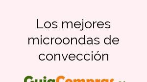 Los mejores microondas de convección