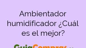 Ambientador humidificador ¿Cuál es el mejor?