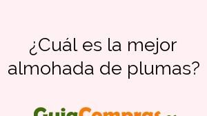 ¿Cuál es la mejor almohada de plumas?