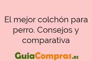 El mejor colchón para perro. Consejos y comparativa