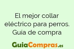 El mejor collar eléctrico para perros. Guía de compra
