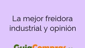 La mejor freidora industrial y opinión