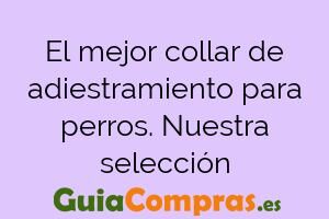 El mejor collar de adiestramiento para perros. Nuestra selección